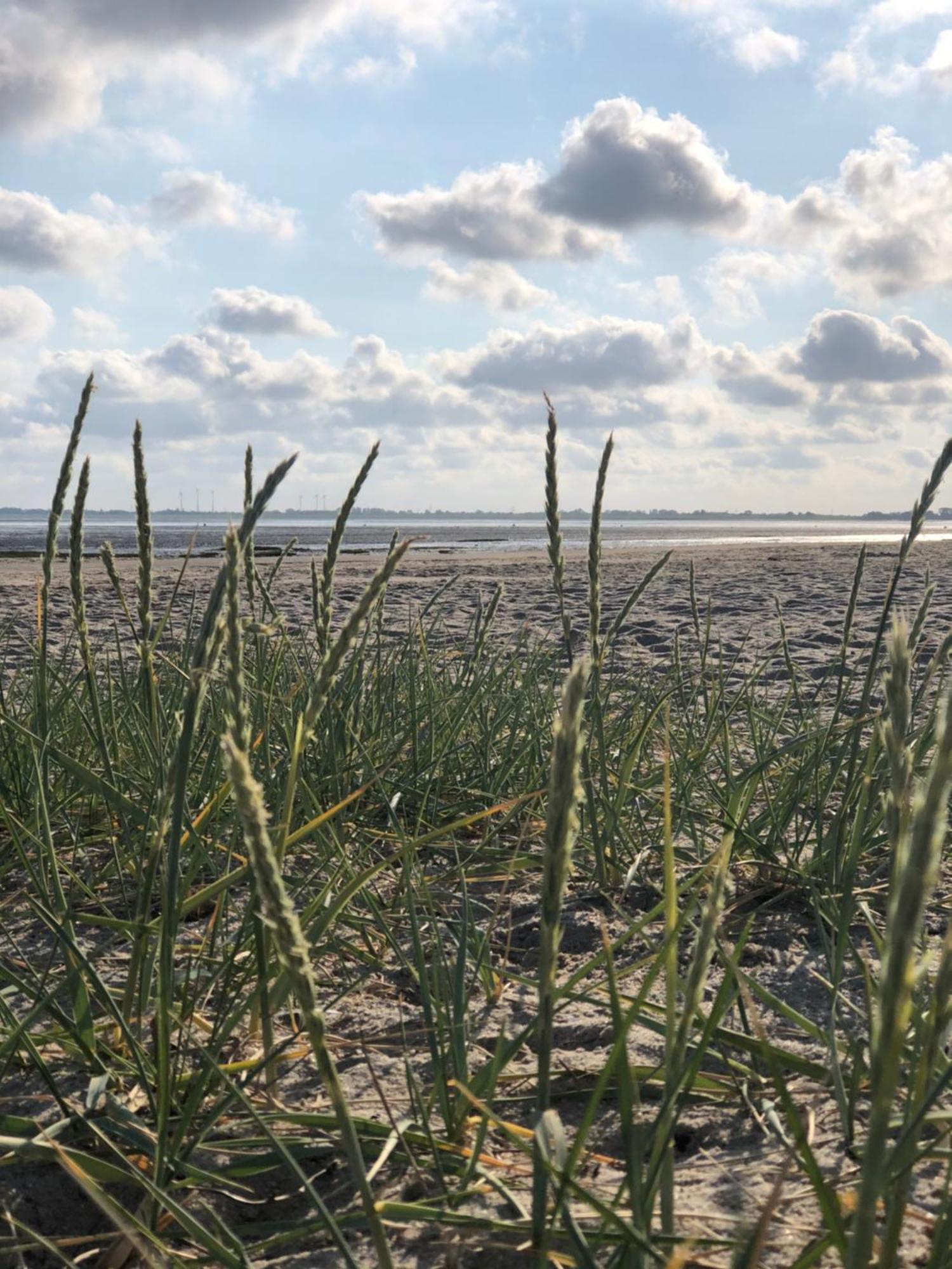 Friesenbude Fokko Varel Bagian luar foto